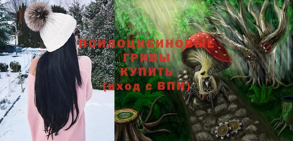 первитин Кукмор
