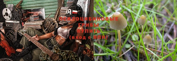первитин Кукмор
