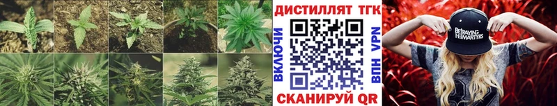 ТГК THC oil  Купить где  Алзамай 