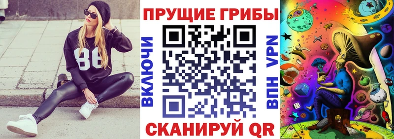 Псилоцибиновые грибы мухоморы Купить Алзамай